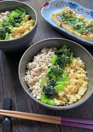 高野豆腐入り鶏そぼろ丼-レシピのメイン写真