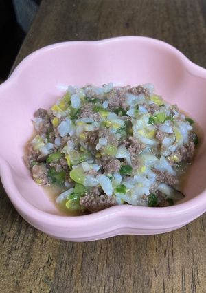 わんこ　ひき肉と青梗菜のおじや-レシピのメイン写真