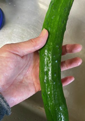 裏技バンザイ！曲がりきゅうりの板ずり-レシピのメイン写真