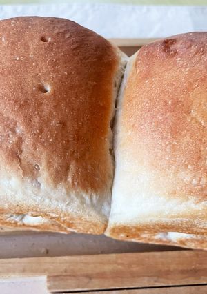 いちばんシンプルな我が家の定番山型食パン-レシピのメイン写真