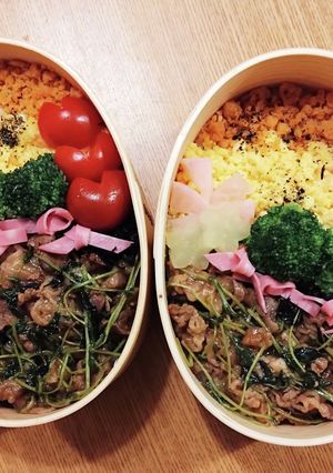 曲げわっぱ、親、高校生弁当、9色丼-レシピのメイン写真
