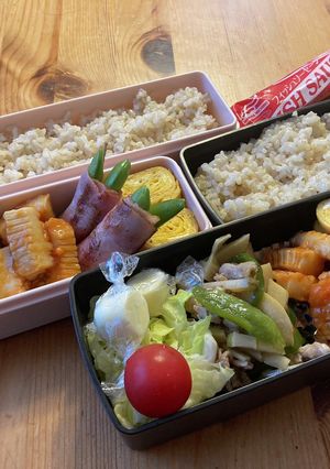 高校生男子弁当311 女子弁当19-レシピのメイン写真