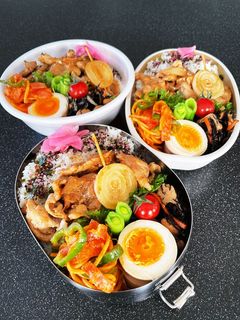 高校生弁当20235月10生姜焼き弁当-レシピのメイン写真