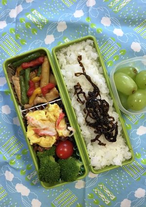 20230510マイ弁当-レシピのメイン写真