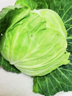 裏技キャベツの保存-レシピのメイン写真