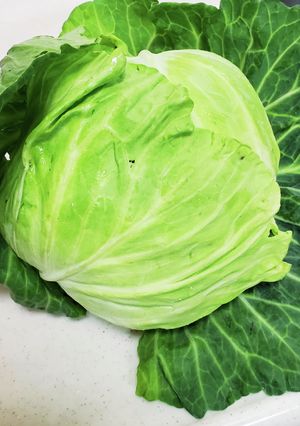 裏技キャベツの保存-レシピのメイン写真