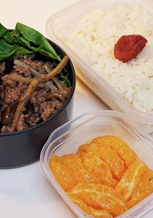 パパのお弁当Ver.20230511-レシピのメイン写真