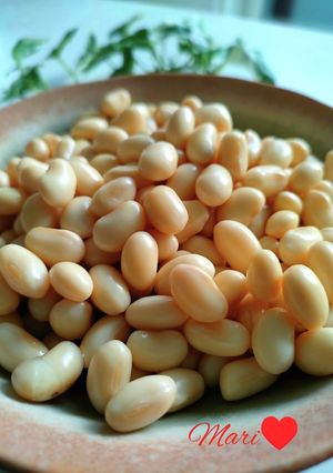 大豆のシンプルな煮方-レシピのメイン写真
