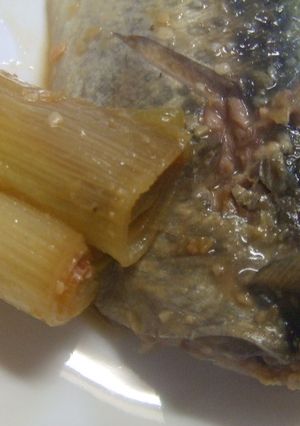 簡単サバのみそ煮-レシピのメイン写真