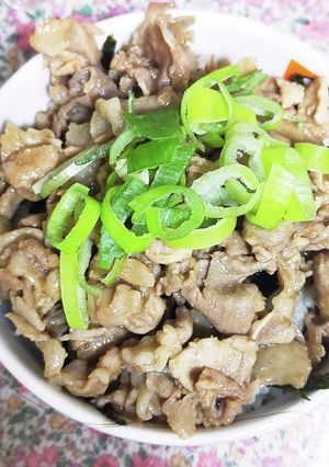 さっぱりモリモリ焼肉丼-レシピのメイン写真