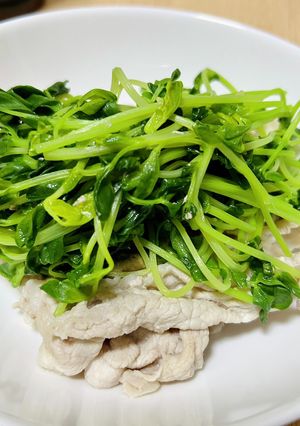 豆苗と豚しゃぶ肉の味ぽんがけ-レシピのメイン写真
