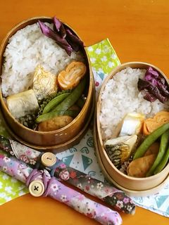 お弁当2023年5月12日-レシピのメイン写真