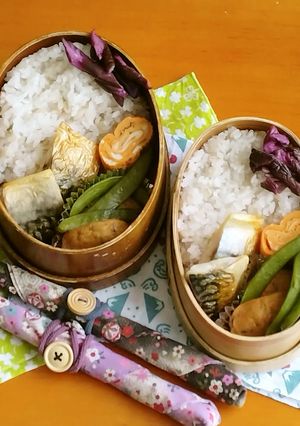 お弁当2023年5月12日-レシピのメイン写真
