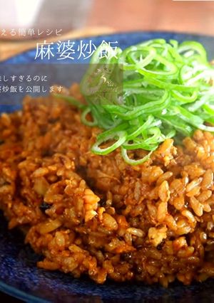 【究極のレシピ】簡単＆美味しい麻婆炒飯-レシピのメイン写真