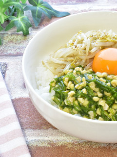 めかぶ納豆ビビンバ-レシピのメイン写真