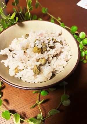 ツタンカーメン豆の豆ごはん-レシピのメイン写真