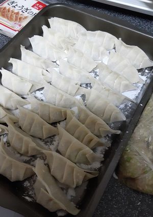 我が家のシンプル餃子-レシピのメイン写真
