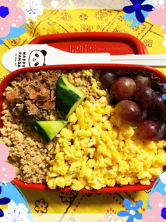 5/13ヨッチャン☆そぼろ弁当-レシピのメイン写真