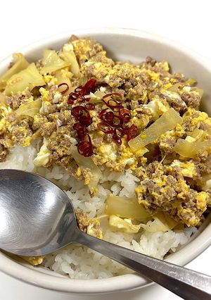挽肉を使った他人丼-レシピのメイン写真