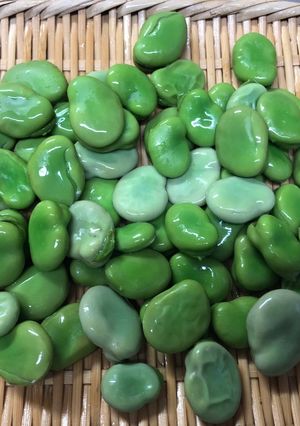 茹でそら豆-レシピのメイン写真