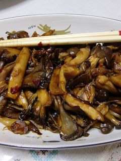 豆板醤deキノコだらけ炒め-レシピのメイン写真