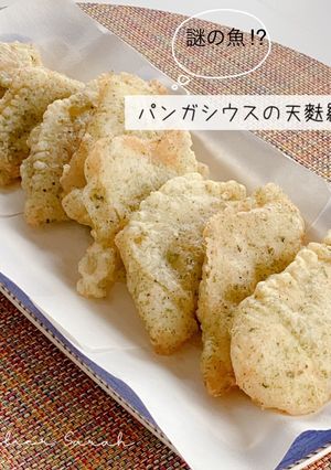高蛋白＆低カロリー！パンガシウスの天婦羅-レシピのメイン写真