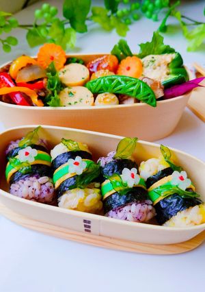 女子学生のお弁当（2023.5.15）-レシピのメイン写真