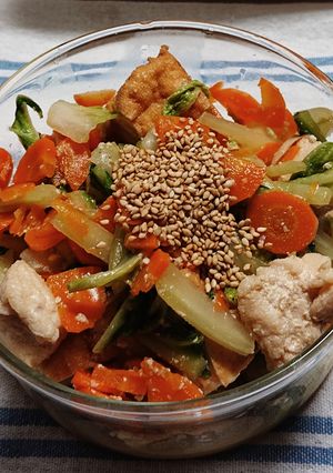 ささみと白菜のうま塩しょうが炒め-レシピのメイン写真
