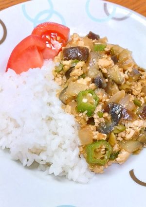 なすたっぷりヘルシー和風キーマカレー-レシピのメイン写真