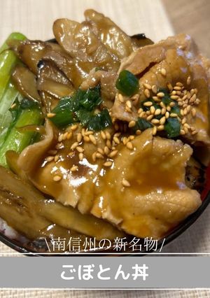 南信州の新名物!ごぼとん丼-レシピのメイン写真
