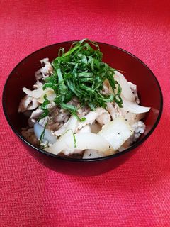 簡単で身体喜ぶ、新玉葱のさっぱり豚丼-レシピのメイン写真