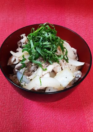 簡単で身体喜ぶ、新玉葱のさっぱり豚丼-レシピのメイン写真