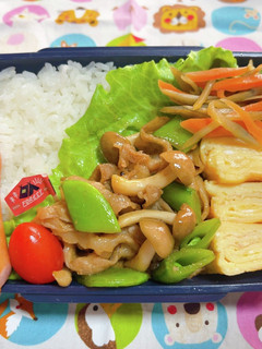 時短お弁当盛り付け記録 きんぴらごぼう-レシピのメイン写真