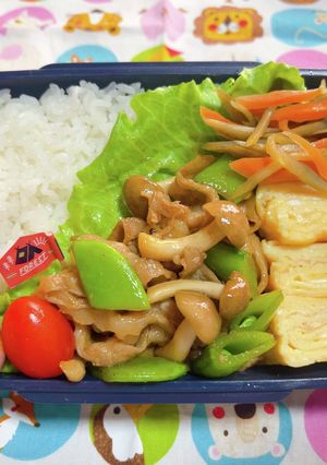 時短お弁当盛り付け記録　きんぴらごぼう-レシピのメイン写真