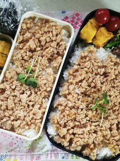 そぼろ弁当(5.17)-レシピのメイン写真