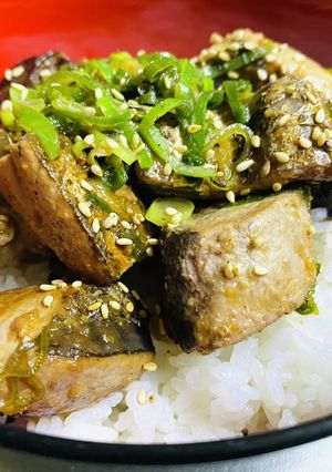 鰹のたたきを焼いた・どんぶり-レシピのメイン写真