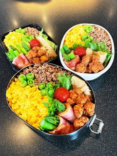 高校生弁当2023 5月18そぼろ弁当-レシピのメイン写真