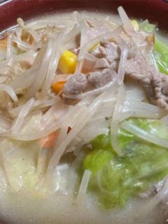 野菜を食べよう!ちゃんぽんスープ-レシピのメイン写真