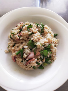 ウドの葉と塩辛のチャーハン-レシピのメイン写真