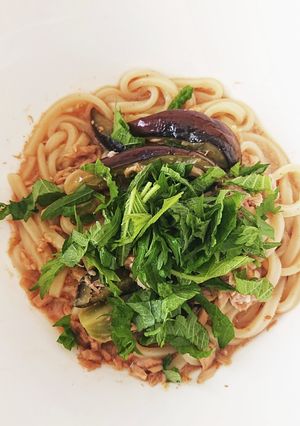 怠け者のぶっかけ？うどんver.茄子ツナ-レシピのメイン写真