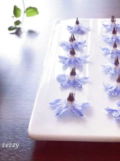ボリジの花の砂糖漬け❁-レシピのメイン写真