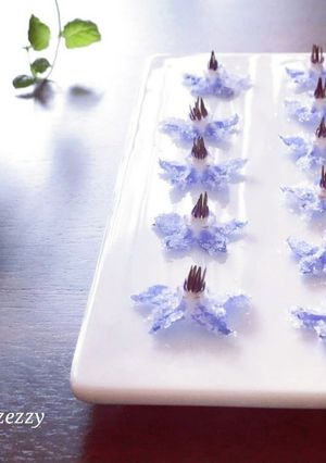 ボリジの花の砂糖漬け❁-レシピのメイン写真