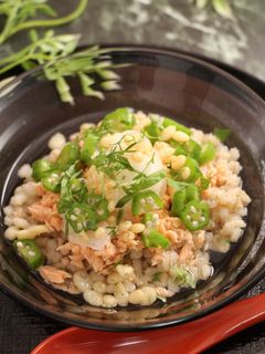 簡単!冷やし茶漬け もち麦と鮭とオクラ-レシピのメイン写真