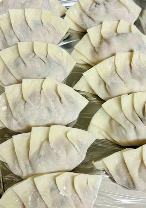 梅シソ餃子-レシピのメイン写真
