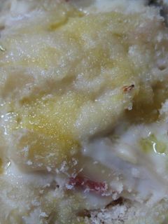 春キャベツのグラタン-レシピのメイン写真