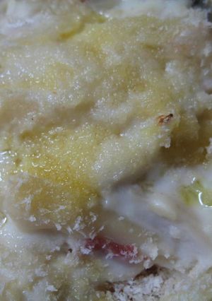 春キャベツのグラタン-レシピのメイン写真