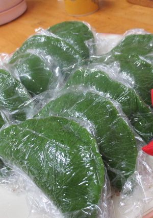 あねかえし（草もち）郷土料理-レシピのメイン写真