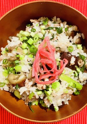 ニラと茄子の肉みそご飯-レシピのメイン写真