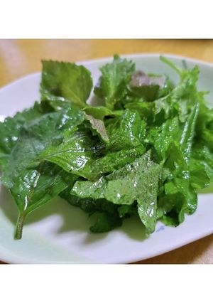 無限青じそ~青じその大量消費に~-レシピのメイン写真