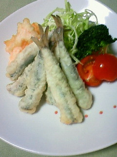旬の味♪コイワシの天ぷら-レシピのメイン写真